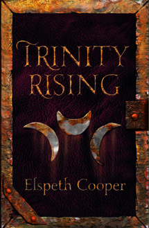 Trinity Rising cover